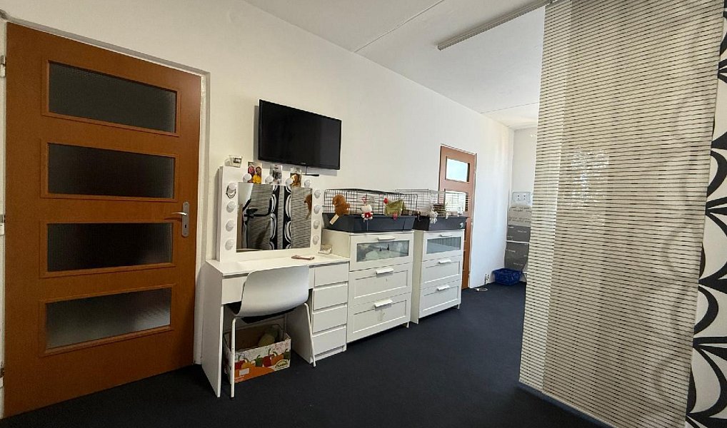 Pronájem bytu 2+1 65 m², Bílina – náhled fotky 9