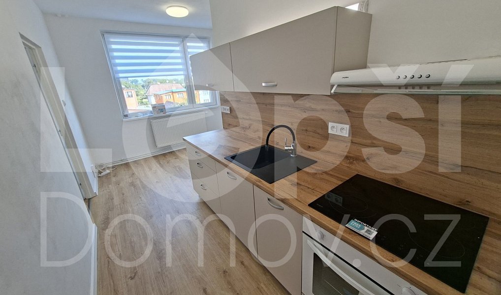 Prodej bytu 2+1 58 m², Javorník – náhled fotky 2