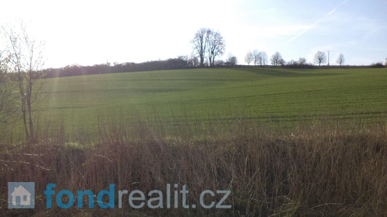 Prodej pozemku 13 279 m² – fotografie 5