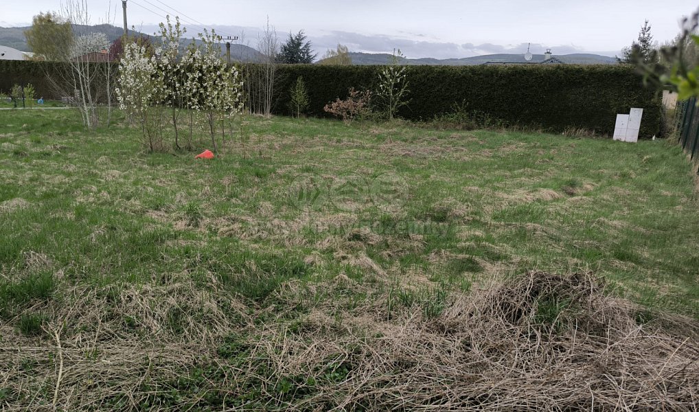 Prodej stavebního pozemku 875 m², Ostrov – náhled fotky 7