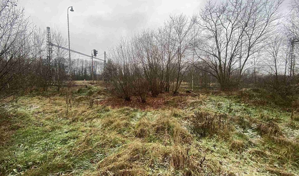 Prodej pozemku 311 m², Zliv – náhled fotky 4