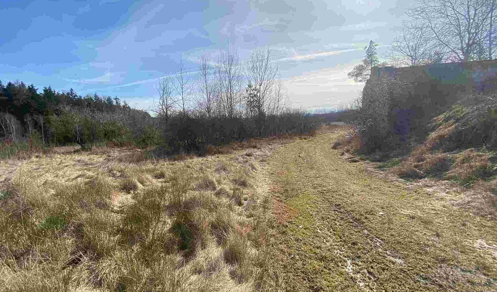 Prodej pole 15 408 m², Františkovy Lázně – náhled fotky 10