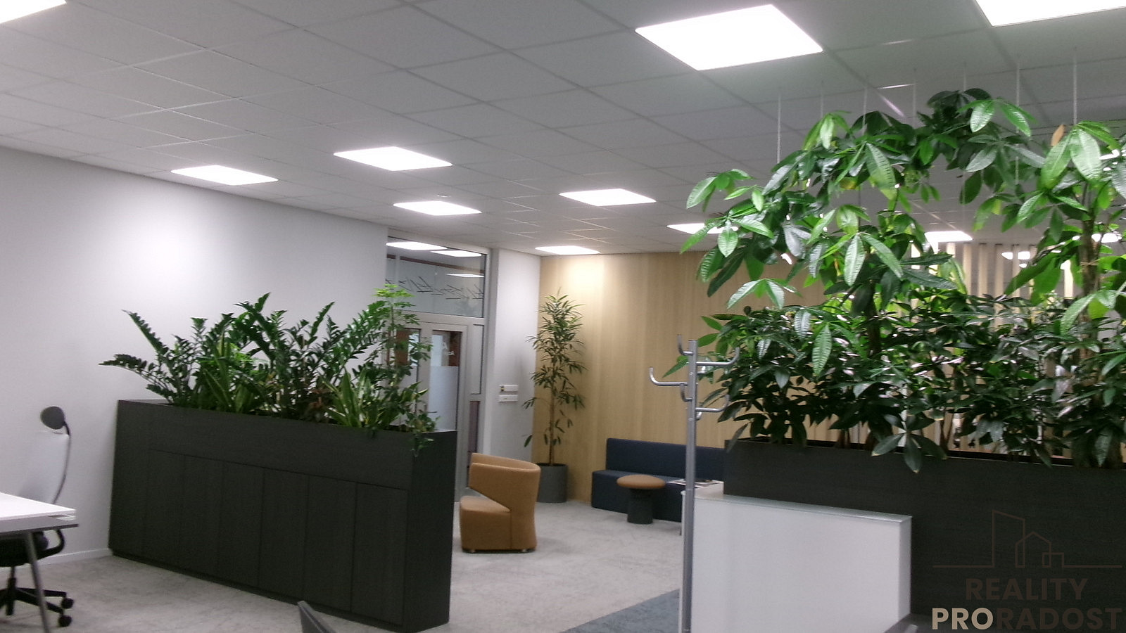 Pronájem kanceláře 342 m²