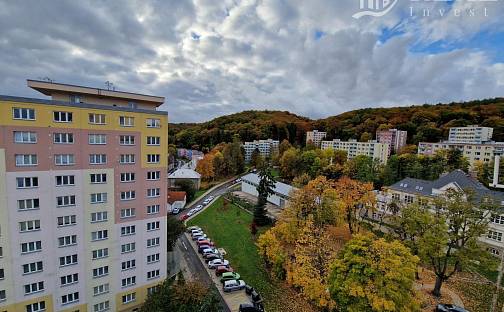 Prodej bytu 2+1 53 m², Tylova, Litvínov - Horní Litvínov, okres Most