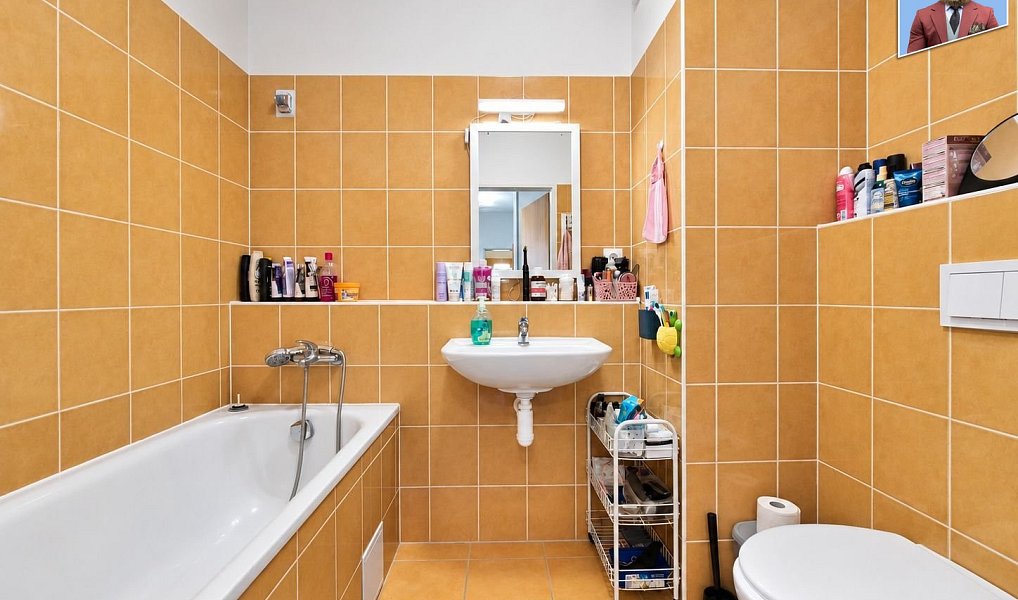 Pronájem bytu 2+kk 50 m², Brno – náhled fotky 8