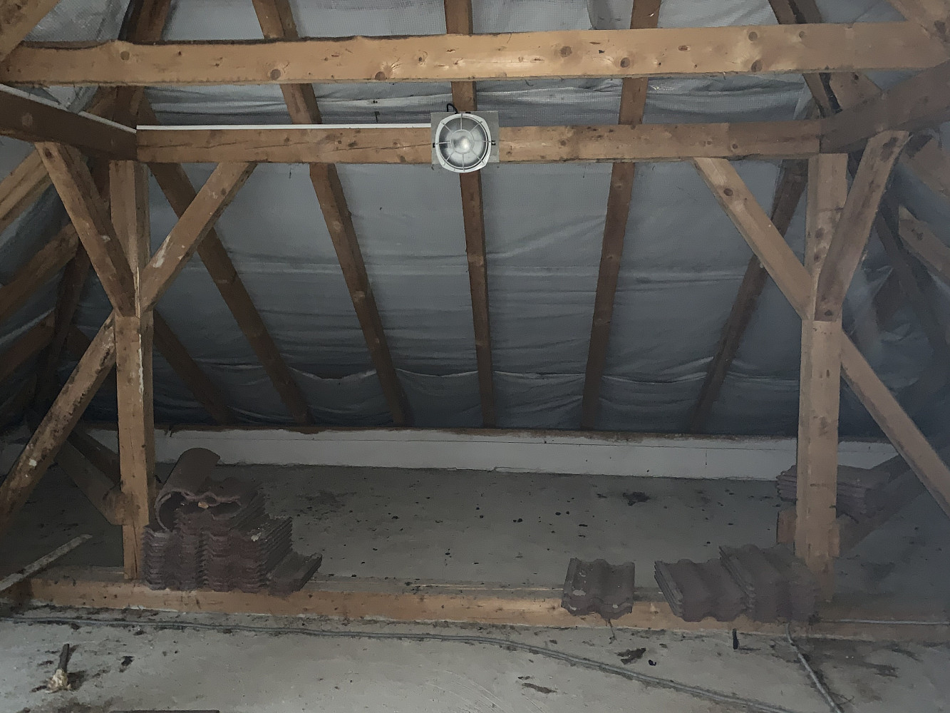 Prodej komerčního objektu (jiného typu) 84 m² – fotografie 3