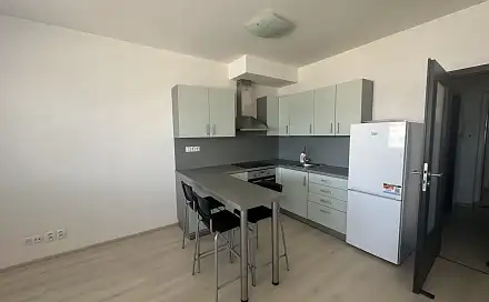 Pronájem bytu 1+kk 30 m², Štefánikova, Plzeň