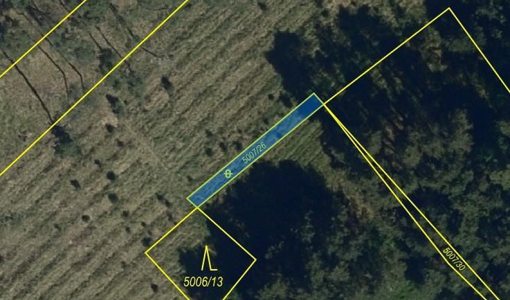 Prodej lesa 8 713 m², Vracov – náhled fotky 10