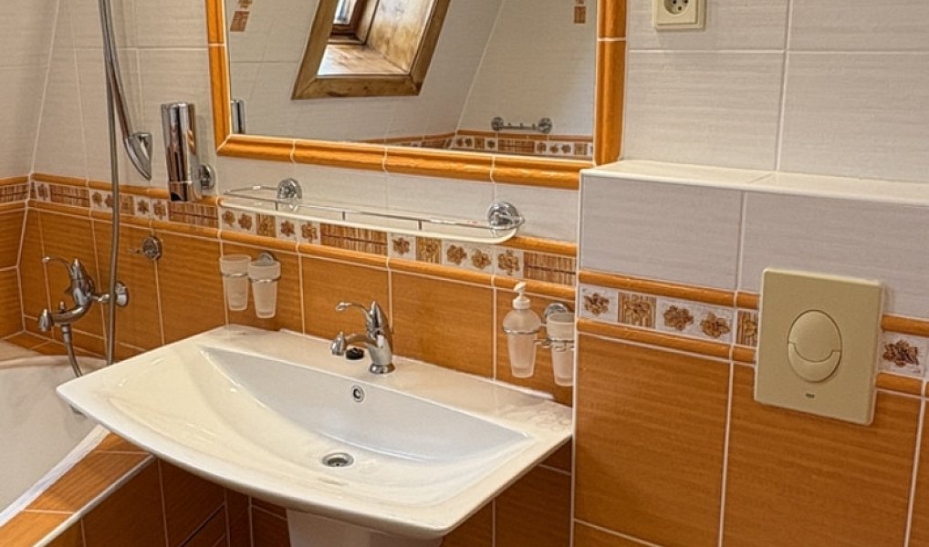 Pronájem domu 90 m² s pozemkem 161 m², Hartmanice – náhled fotky 24
