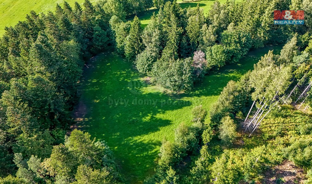 Prodej lesa 15 707 m², Petrovice u Sušice – náhled fotky 20