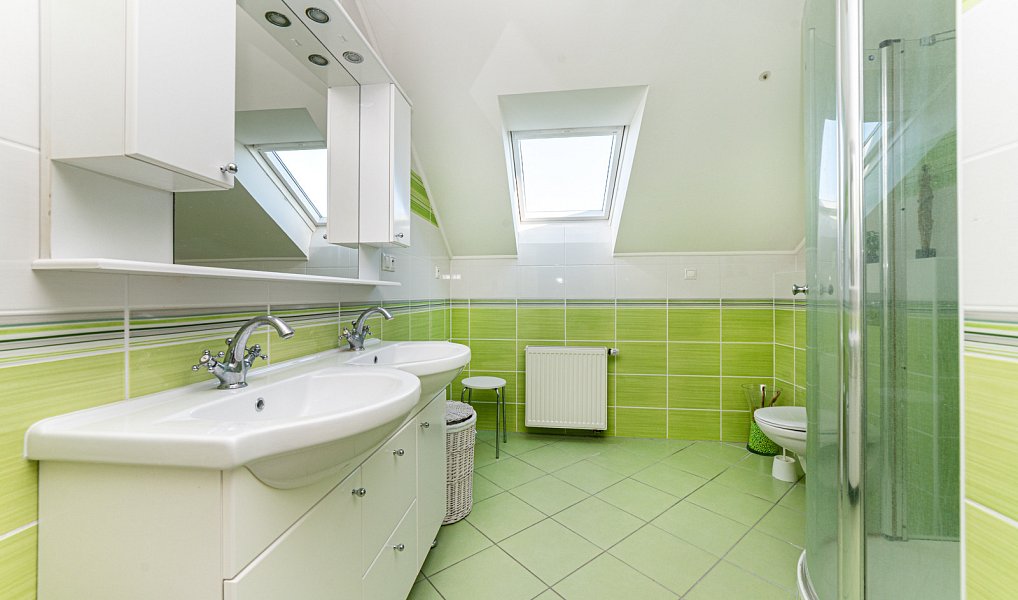 Prodej domu 450 m² s pozemkem 264 m², Sudice – náhled fotky 12