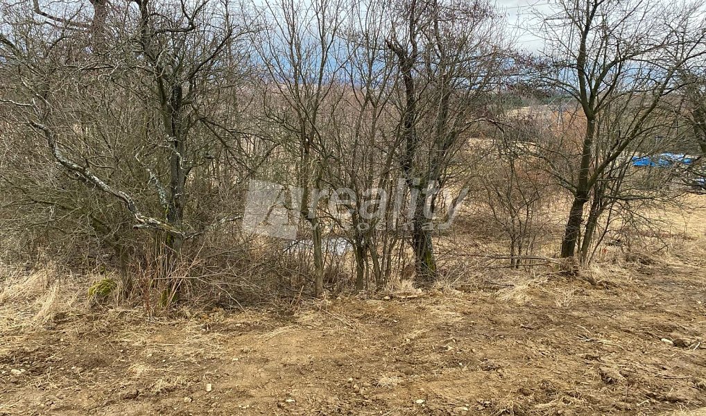 Prodej stavebního pozemku 1 268 m², Zašovice – náhled fotky 3