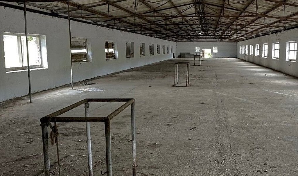 Prodej komerčního objektu (jiného typu) 1 400 m², Dešenice – náhled fotky 2
