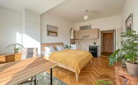 Pronájem bytu 1+kk 24 m²
