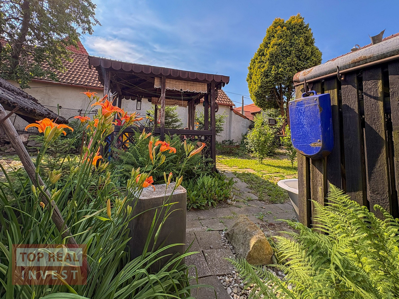 Fotka 29 z 30