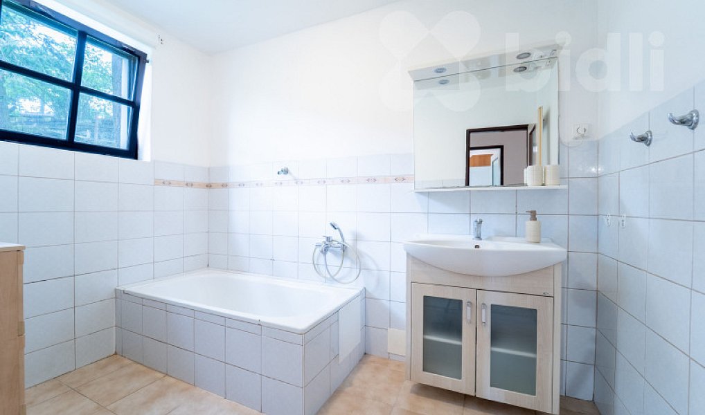 Prodej domu 319 m² s pozemkem 1 961 m², Dublovice – náhled fotky 13