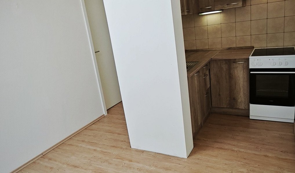 Pronájem bytu 1+kk 17 m², Brno – náhled fotky 13