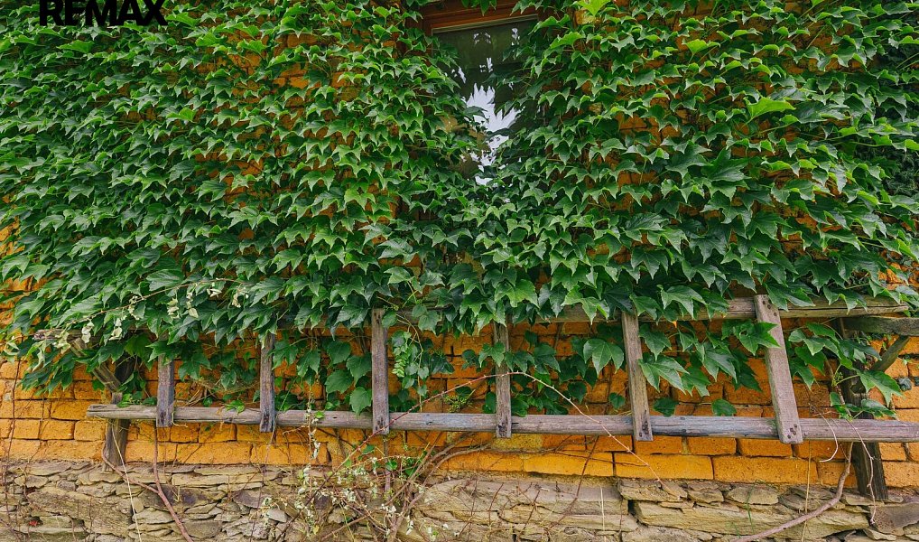 Prodej domu 192 m² s pozemkem 2 495 m², Dlouhá Loučka – náhled fotky 18