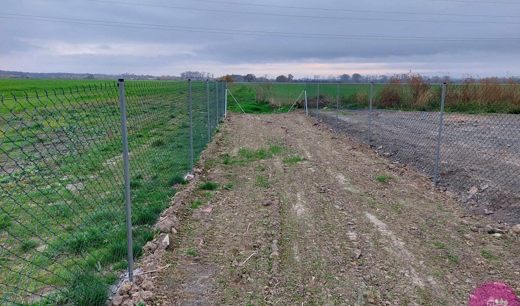 Pronájem zahrady 100 m², Grygov – náhled fotky 3