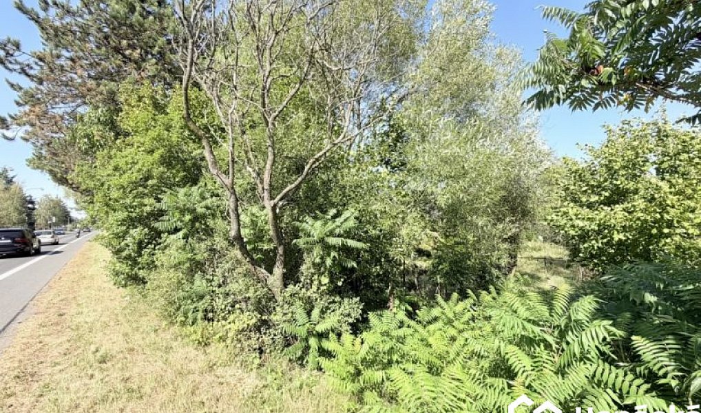 Prodej stavebního pozemku 946 m², Lípa – náhled fotky 7