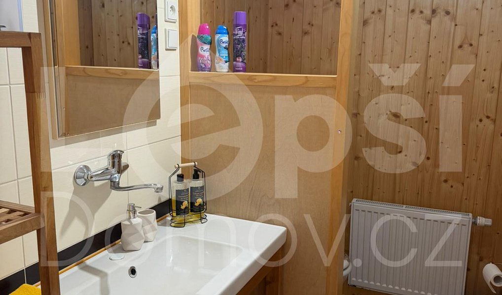 Prodej chaty/chalupy 115 m² s pozemkem 394 m², Bělá pod Pradědem – náhled fotky 13