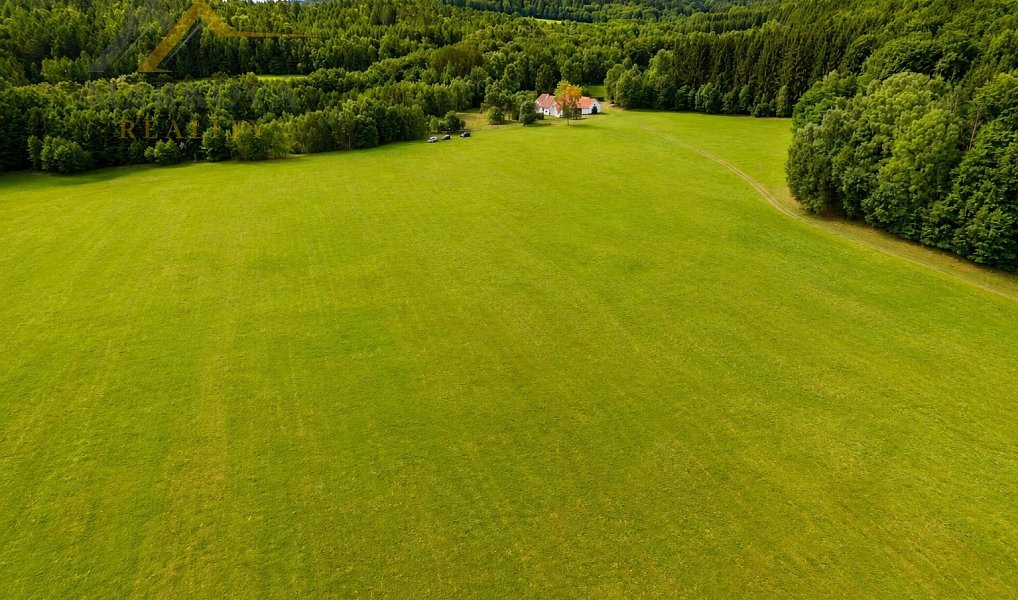 Prodej louky 98 591 m², Benešov nad Černou – náhled fotky 3