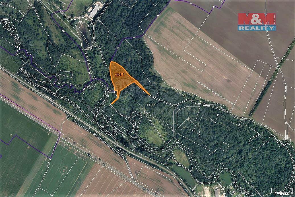 Prodej lesa 10 077 m²