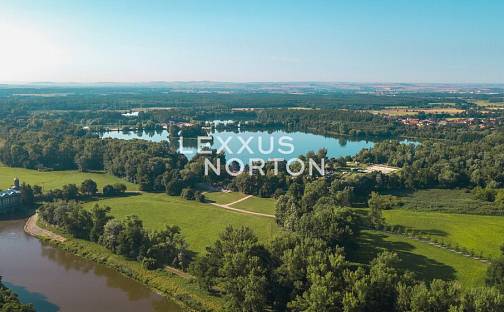 Prodej stavebního pozemku 1 317 m², Choťánky, okres Nymburk