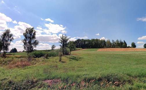 Prodej pozemku 5 392 m², Nová Ves u Mladé Vožice, okres Tábor