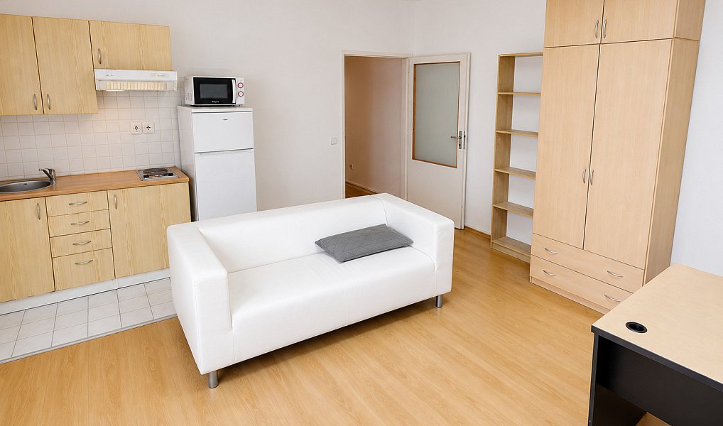 Pronájem bytu 1+1 35 m², Olomouc – náhled fotky 3