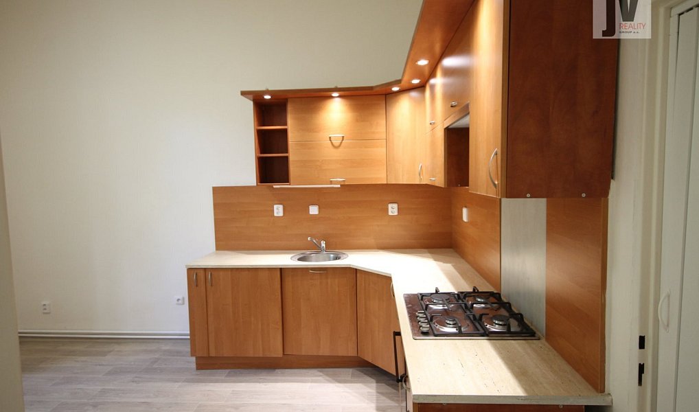 Pronájem bytu 4+1 137 m², Plzeň – náhled fotky 2