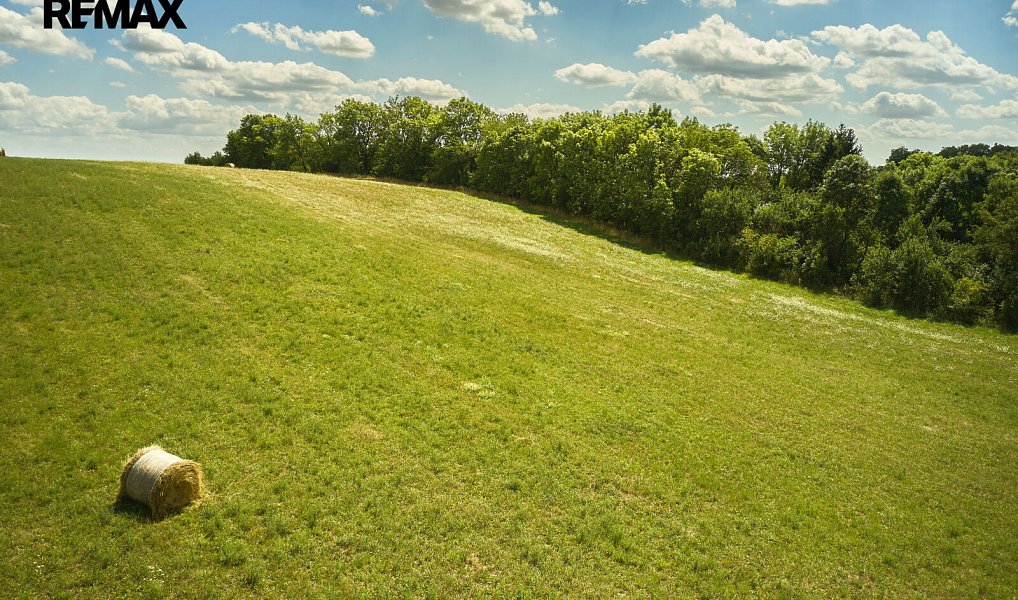Prodej pole 46 475 m², Jeníkovice – náhled fotky 3