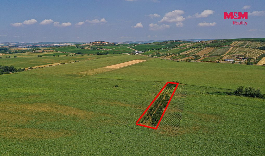 Prodej pole 14 490 m², Zaječí – náhled fotky 17