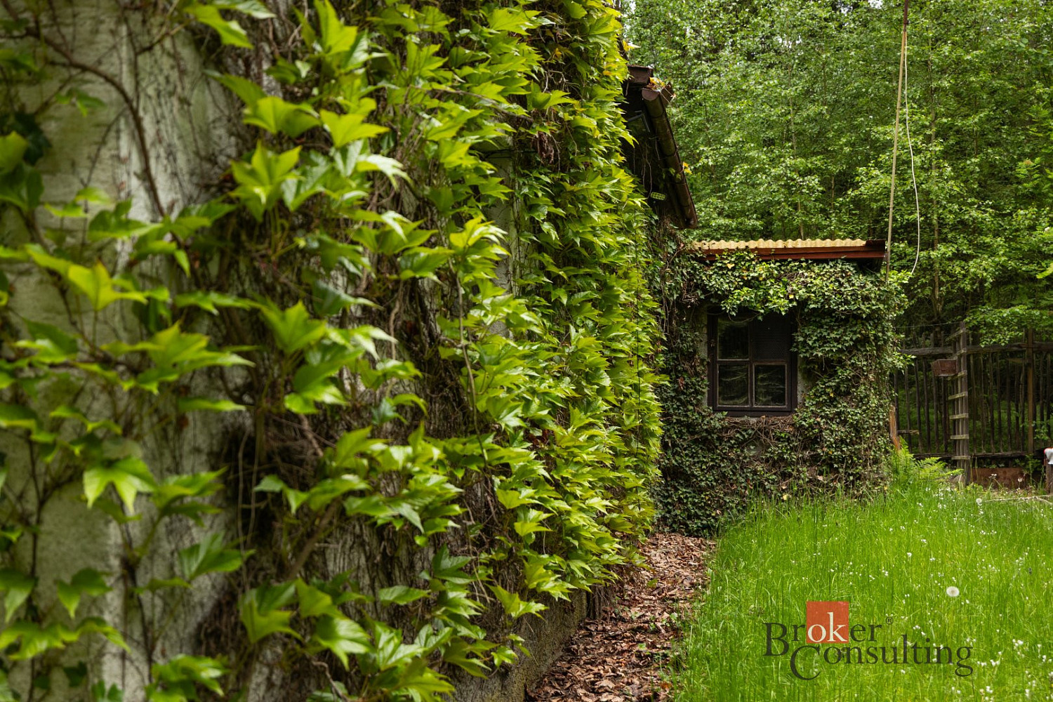 Prodej stavebního pozemku 1 366 m² – fotografie 4