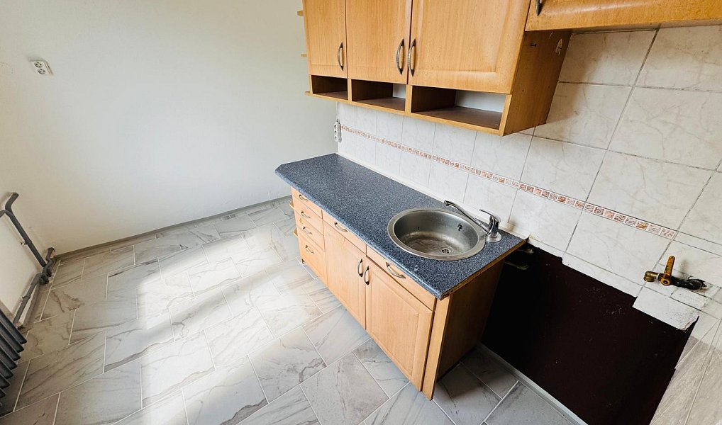 Pronájem bytu 1+1 33 m², Bukovany – náhled fotky 2