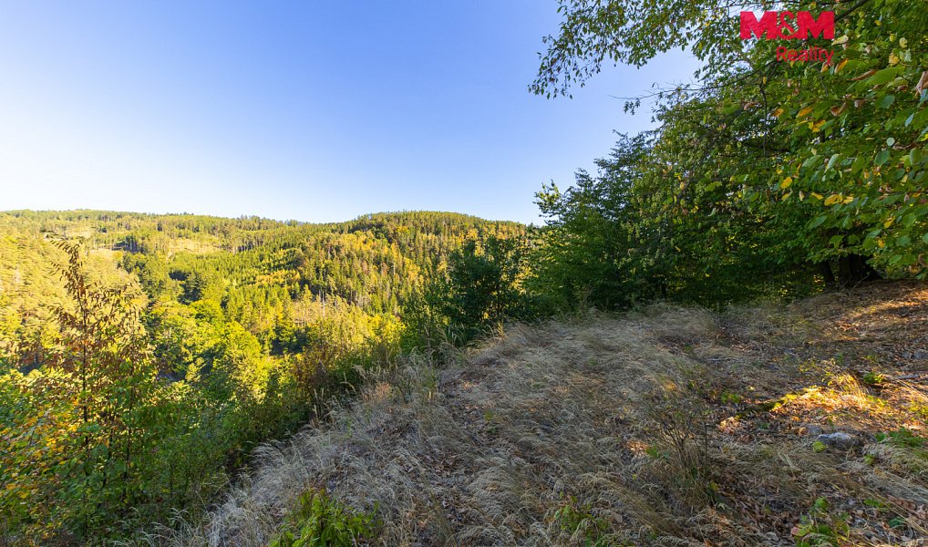 Prodej lesa 7 450 m², Lomnice – náhled fotky 4