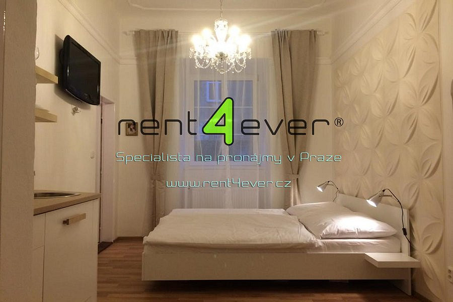 Pronájem bytu 1+kk 18 m² — photo 3