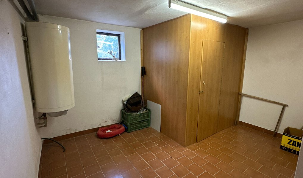 Prodej domu 350 m² s pozemkem 130 m², Halže – náhled fotky 33
