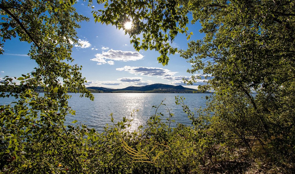 Prodej komerčního pozemku 17 013 m², Přítluky – náhled fotky 6