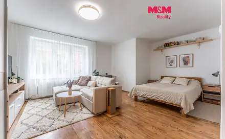 Prodej bytu 1+1 46 m², Třída Míru, Beroun - Beroun-Město