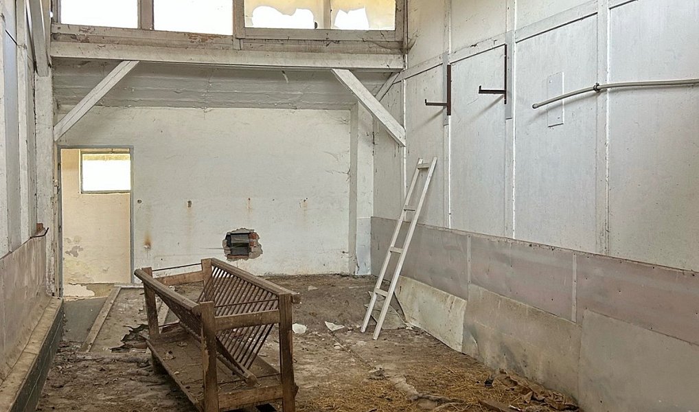 Prodej zemědělského objektu 1 200 m², Louka – náhled fotky 9