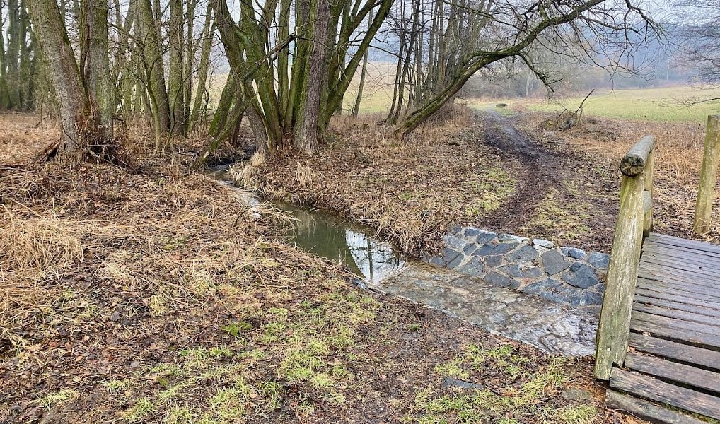 Prodej vodní plochy 8 264 m², Ondřejov – náhled fotky 7