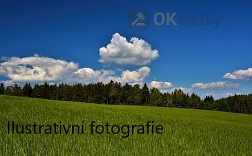 Dražba pozemku 54 710 m²