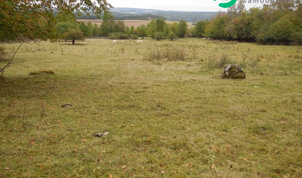 Prodej stavebního pozemku 4 000 m², Konstantinovy Lázně – náhled fotky 3