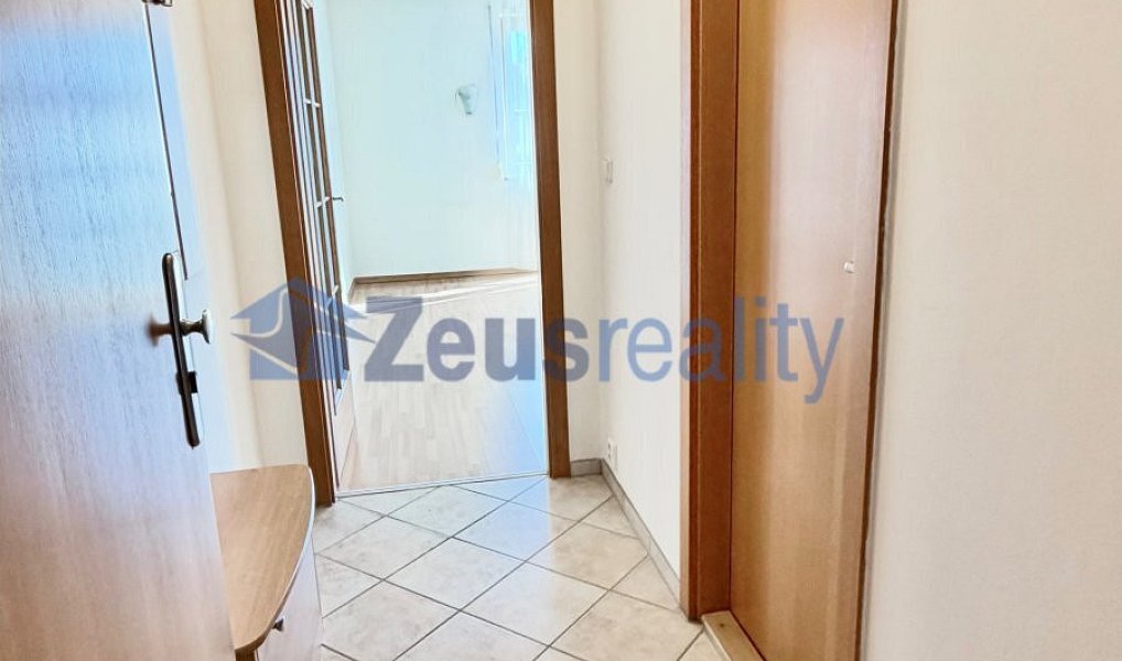 Pronájem bytu 1+kk 39 m², Praha – náhled fotky 9