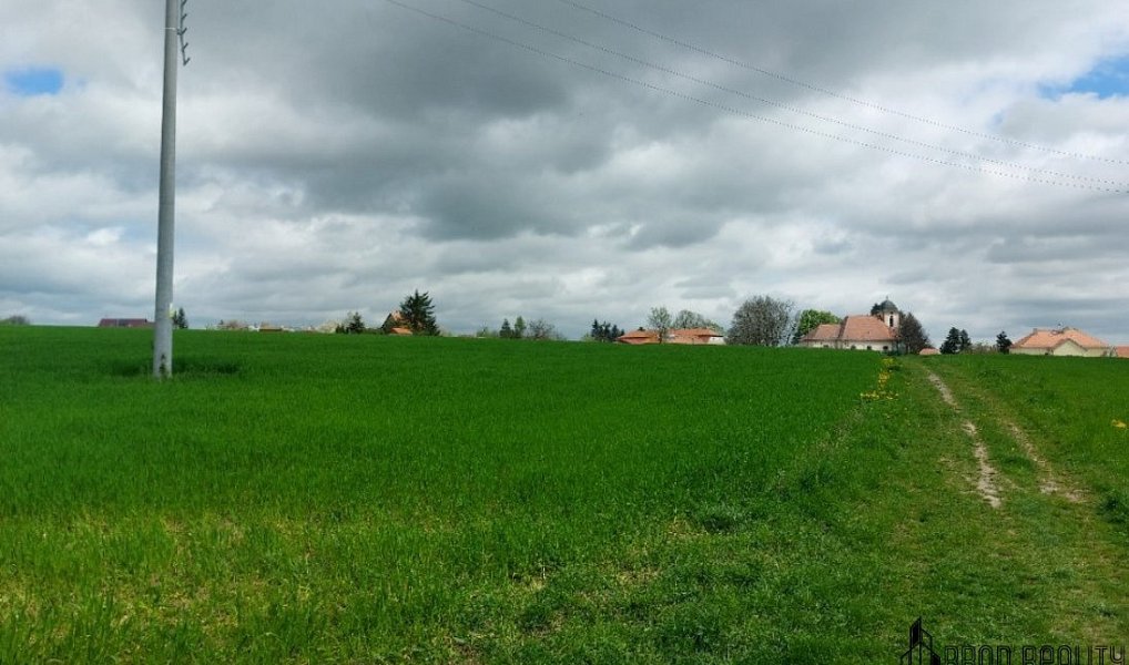 Prodej pozemku 12 045 m², Krásensko – náhled fotky 4