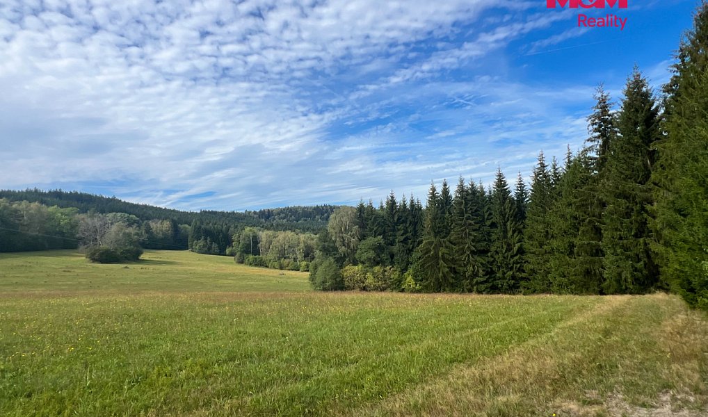 Prodej stavebního pozemku 64 409 m², Záblatí – náhled fotky 17