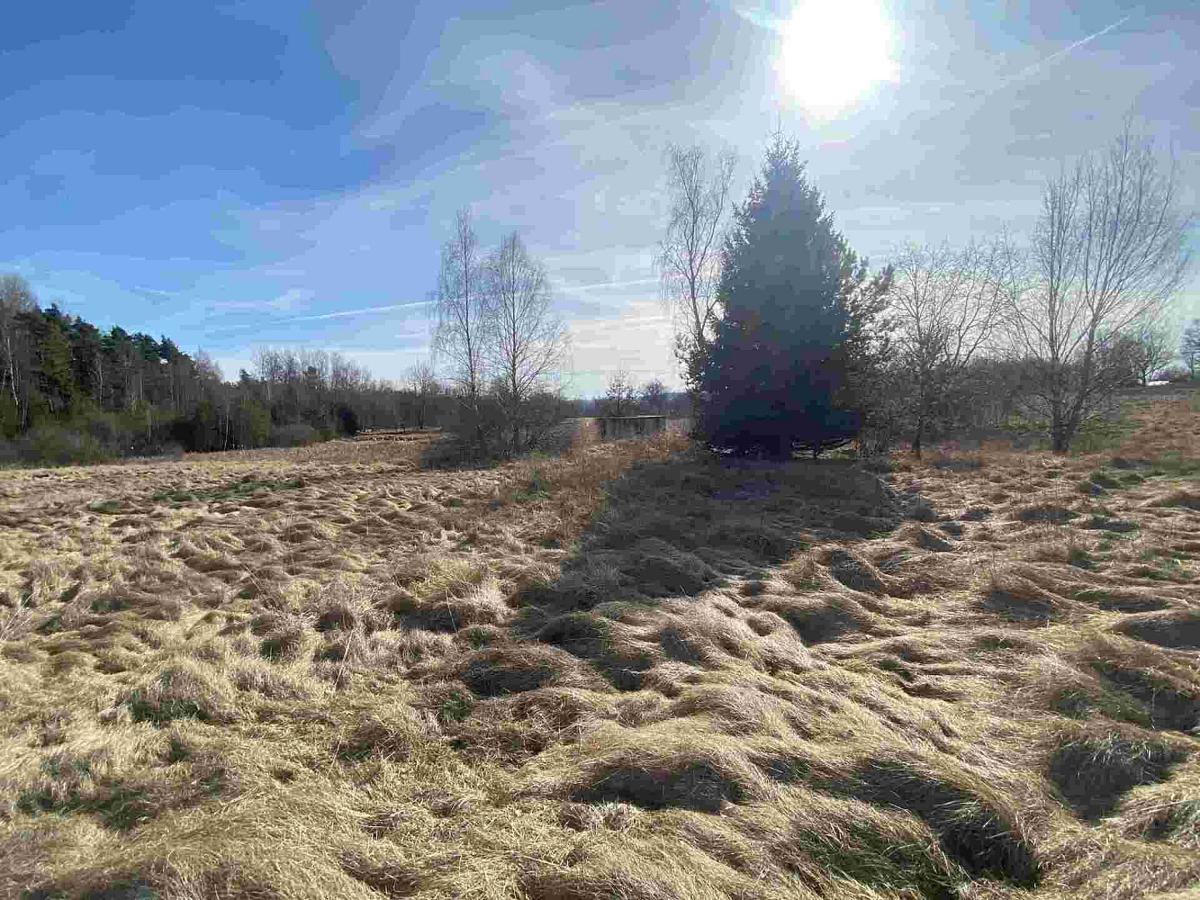 Prodej pole 15 408 m² – fotografie 5