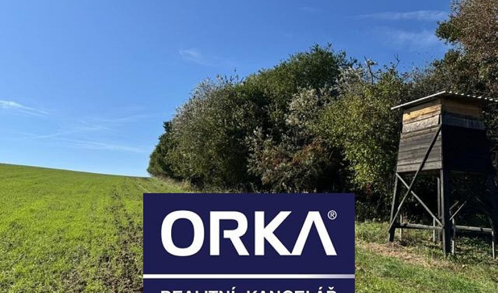 Prodej louky 7 785 m², Veselíčko – náhled fotky 2