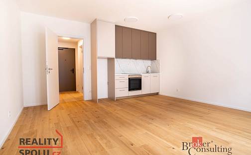 Pronájem bytu 1+kk 37 m², Bratislavská, Brno - Zábrdovice